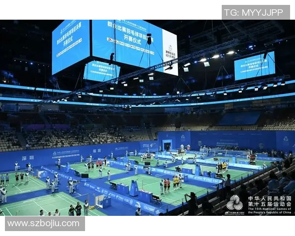 深圳羽毛球队实力分析与发展潜力探讨