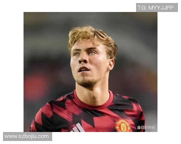 霍伊伦的传奇人生与时代变迁中的不屈精神探寻 霍伊伦的传奇人生与时代变迁中的不屈精神探寻